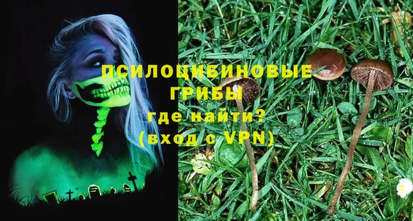 гашик Волосово