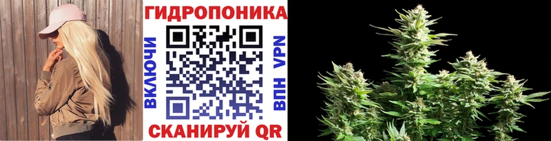 mega как войти  Калининск  Бошки Шишки White Widow 